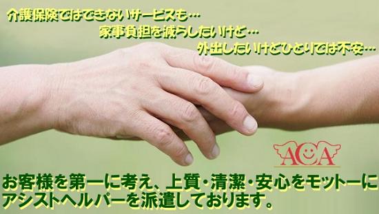 ��炵�A�V�X�g�w���p�[�����